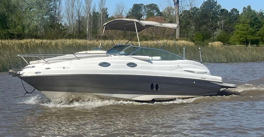 Best of Delta Buenos Aires Private Boat Tour: Enjoy More - What you will likely see: wildlife nature, plus the human edges of the Delta