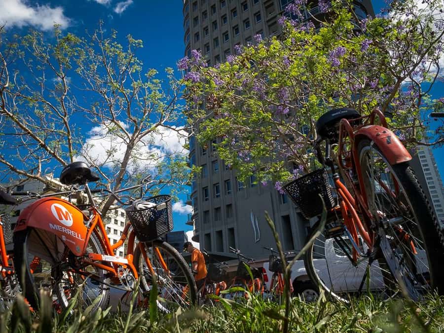 Buenos Aires Bike Tour: South or North Circuit - South Circuit: San Telmo to Plaza de Mayo in one smooth story