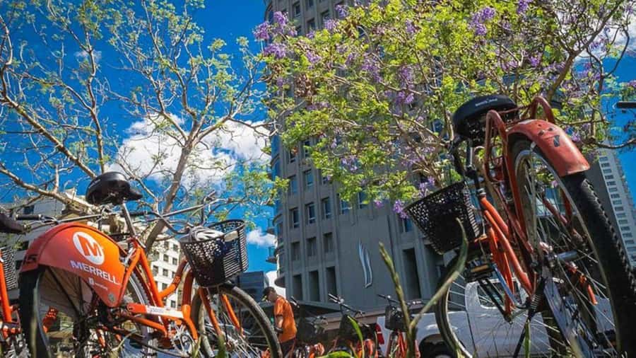 Buenos Aires Bike Tour: South or North Circuit - The bikes, helmets, and what city riding really means