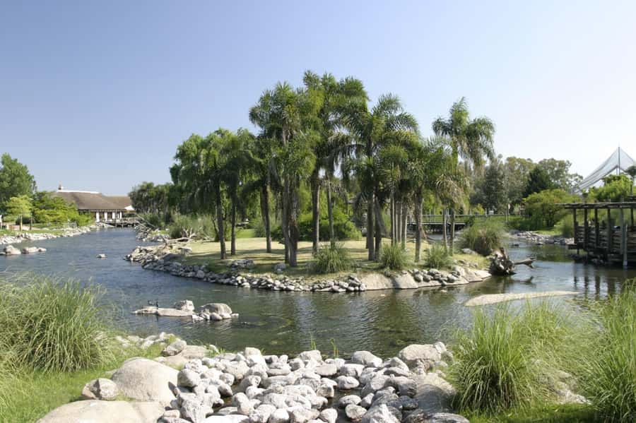 Buenos Aires: Bioparque Temaiken with Transfers - Africa and Asia areas, flamingos to tigers