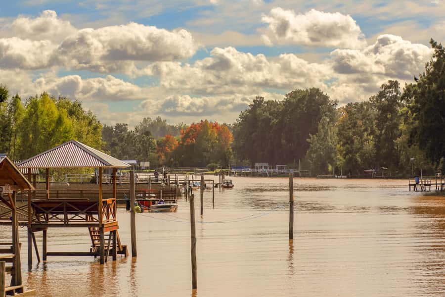 Buenos Aires: Puerto Madero to Tigre Round Trip Cruise - Price and Value: Where $58 Really Goes