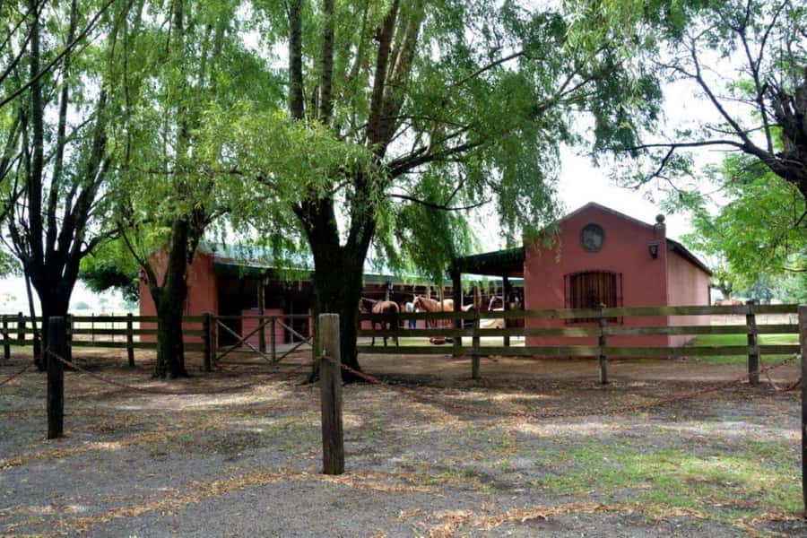 Buenos Aires: Santa Susana Ranch Day Tour, BBQ & Shows - Practical Tips: What to Wear, What to Bring, What to Skip