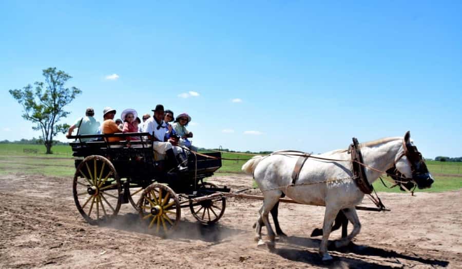 Buenos Aires: Santa Susana Ranch Day Tour, BBQ & Shows - The Pulpería Welcome: Empanadas, Wine, and First Gaucho Smiles