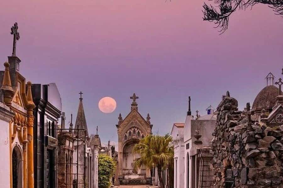 Buenos Aires: Small Group City Highlights Tour - Plaza de Mayo and Casa Rosada: the civic heart in guided pieces