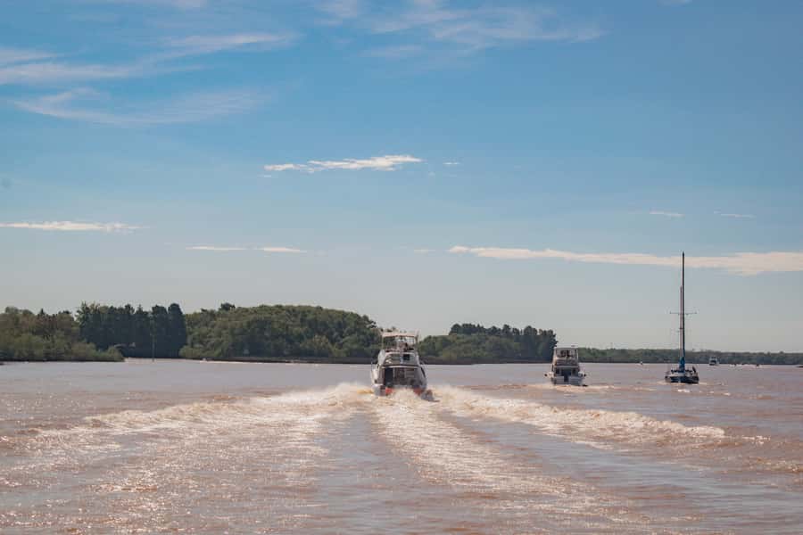 Buenos Aires: "Ticket"- 2hs of Navigation Premium to Tigre - Puerto Madero to Tigre: the real reason this ticket is worth it