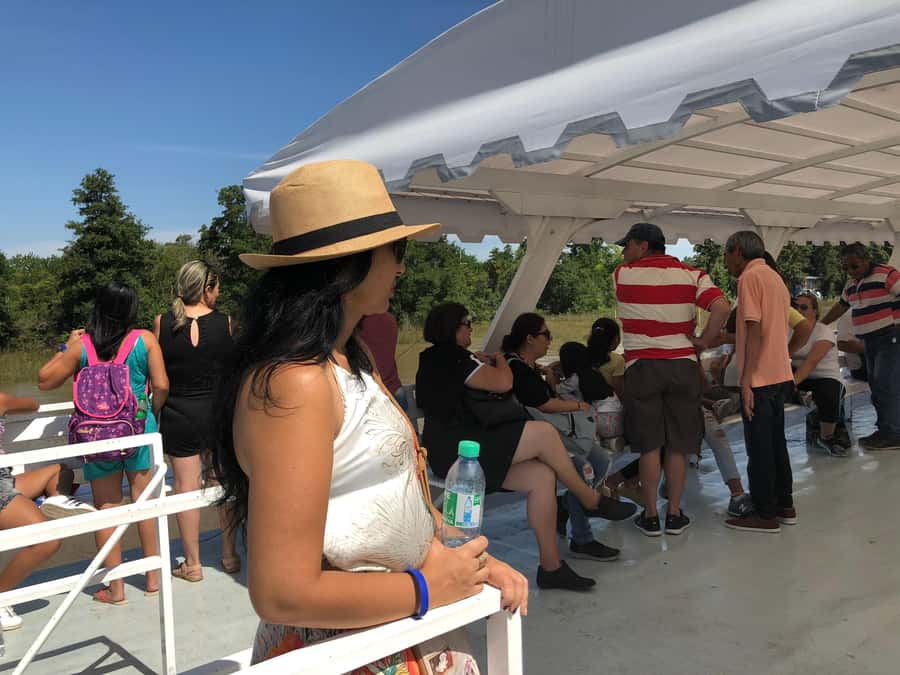 Buenos Aires: "Ticket"- 2hs of Navigation Premium to Tigre - Starting at Sturla Viajes in Puerto Madero, and what to expect on arrival