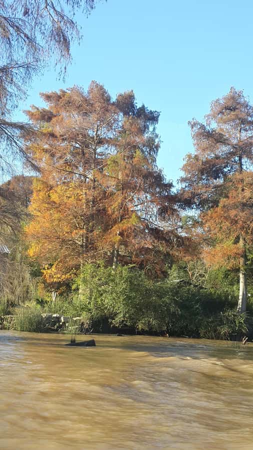 Buenos Aires: "Ticket"- 2hs of Navigation Premium to Tigre - Price check: is $39 a good deal, and what about extra charges?