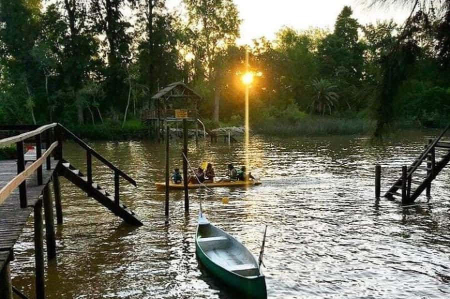Buenos Aires: Tigre Delta Half-Day Tour with Navigation - Tigre Delta Half-Day: why this works when you want nature fast