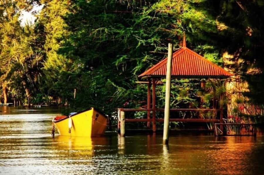 Buenos Aires: Tigre Delta Half-Day Tour with Navigation - From Buenos Aires landmarks to the Fluvial Station