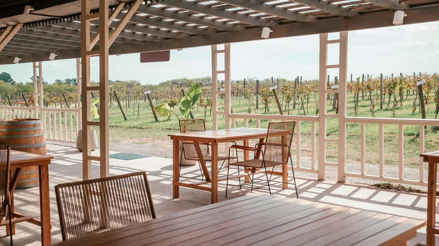 Buenos Aires: Wine Tasting and Lunch at Bodega Gamboa - Vineyard walk at a newer winery, with real context