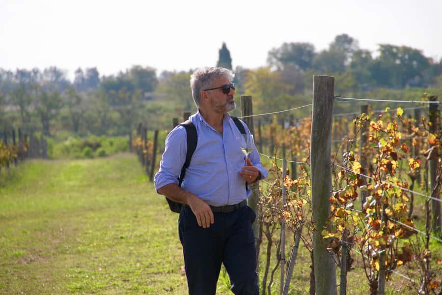 Buenos Aires: Wine Tasting and Lunch at Bodega Gamboa - Lunch at the winery: multi-course, paired, and unhurried