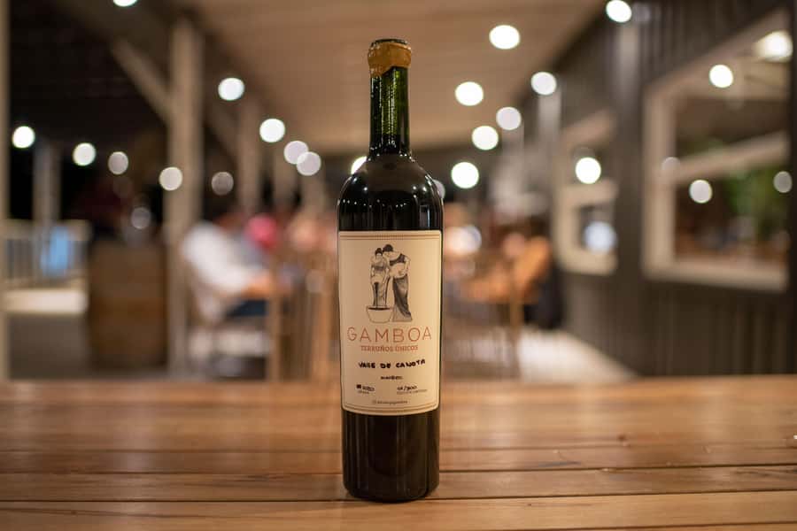 Buenos Aires: Wine Tasting and Lunch at Bodega Gamboa - Price and value for a 7-hour escape from the city
