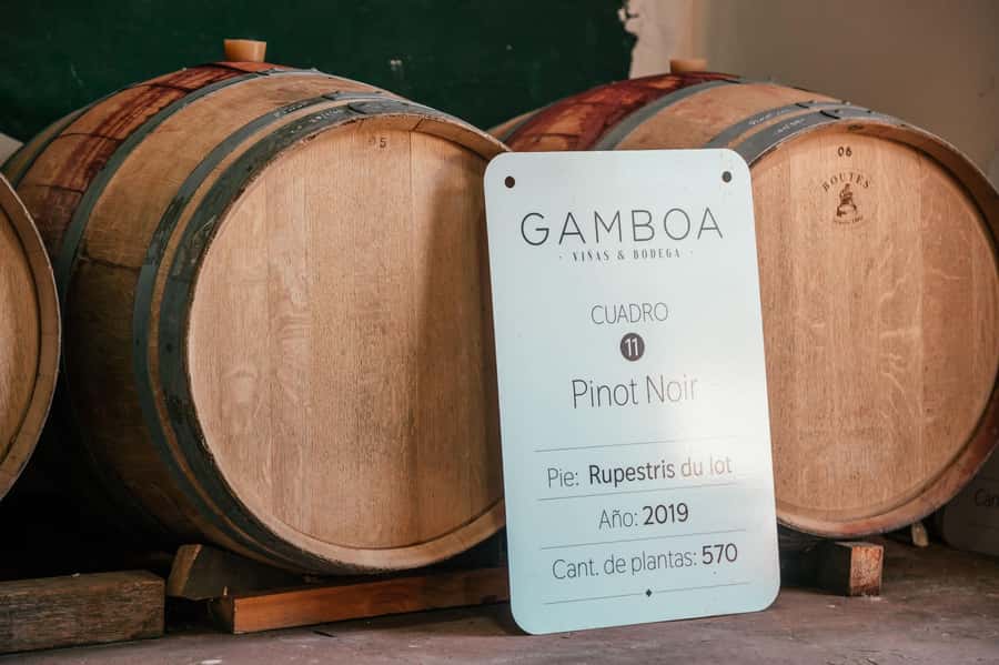 Buenos Aires: Wine Tasting and Lunch at Bodega Gamboa - Who should book this tour, and who should skip it