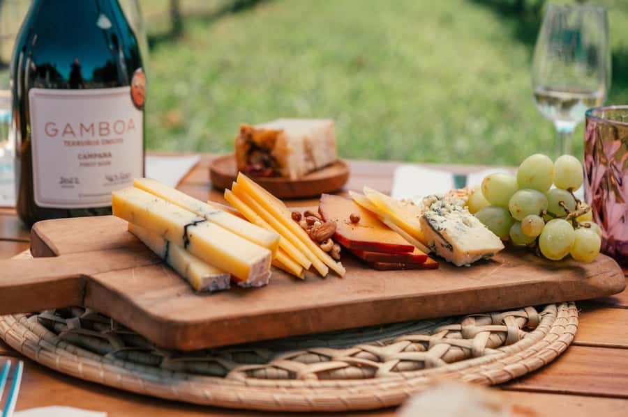Buenos Aires: Wine Tasting & Lunch at Gamboa Vineyard - Key highlights you will feel right away