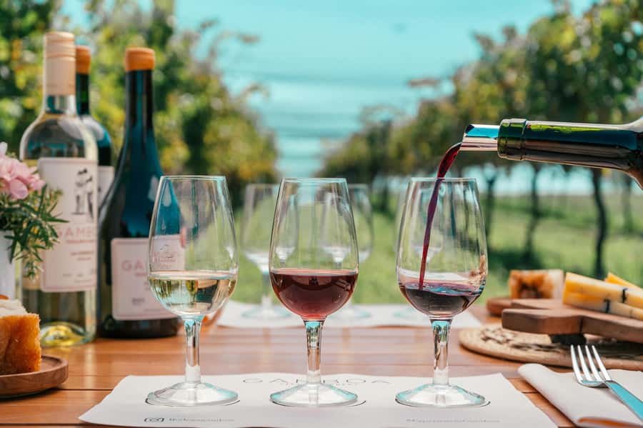 Buenos Aires: Wine Tasting & Lunch at Gamboa Vineyard - Why a boutique winery 65 km from Buenos Aires feels like a reset