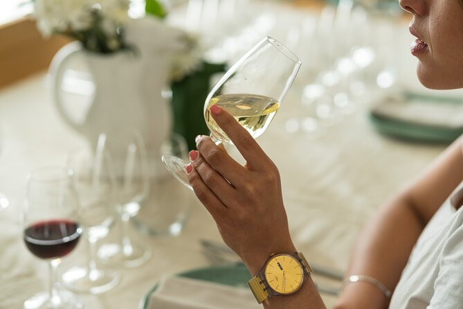 Discover Argentine Wines Paired with Delicious Tapas - The Four Bottles: Arid North, Cool Patagonia, and Mendoza