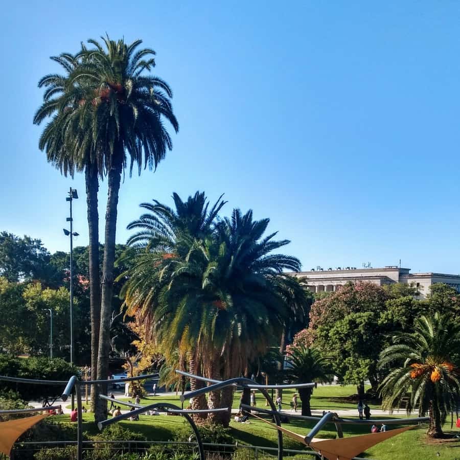 Discover Recoleta, Buenos Aires' Little Paris - Museo Nacional de Bellas Artes, quick sightseeing that sets expectations