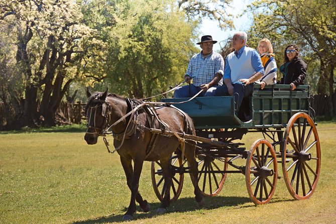 Estancia Gaucho Day at Buenos Aires - Folklore show and entertainment at the ranch, including the gaucho performance