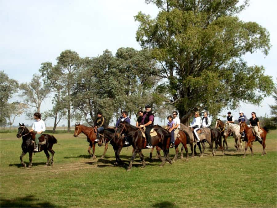 From Buenos Aires: Estancia Don Silvano Tour with Lunch. - Arriving at Estancia Don Silvano: Welcome and a Guided Ranch Look