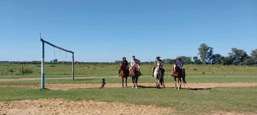 From Buenos Aires: Estancia Don Silvano Tour with Lunch. - Price and Value: Does $165 Make Sense?