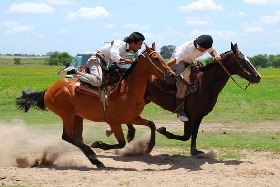 From Buenos Aires: Estancia Don Silvano Tour with Lunch. - Pickup, Van Time, and Why Your Schedule Matters