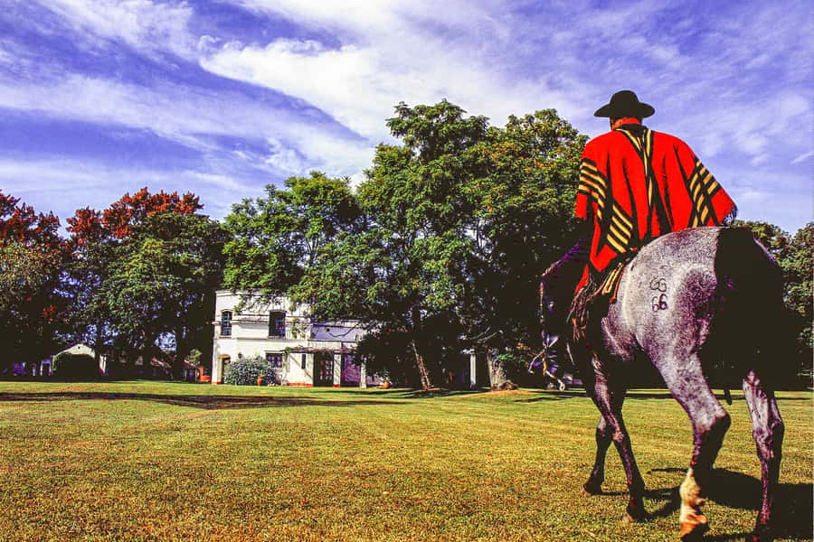 From Buenos Aires: Gaucho and Ranch Day Tour - The ranch transition: how your estancia day starts