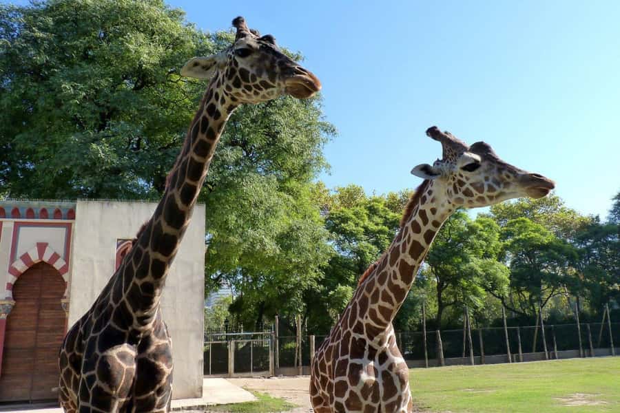 From Buenos Aires: Temaiken Zoo Tour with Ticket Included - Aquarium first: 1 million liters and three Argentine water worlds
