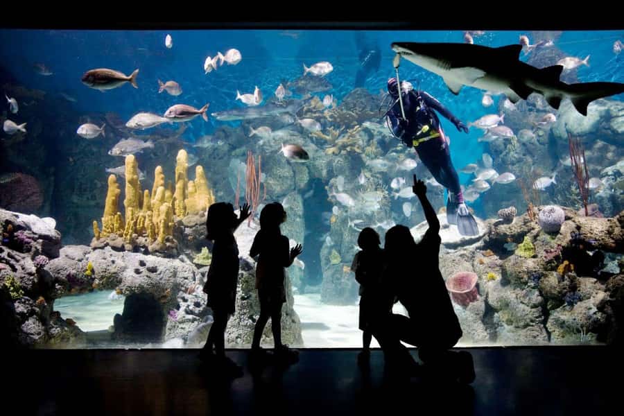 From Buenos Aires: Temaiken Zoo Tour with Ticket Included - Giant aviary: walking under birds from around the world