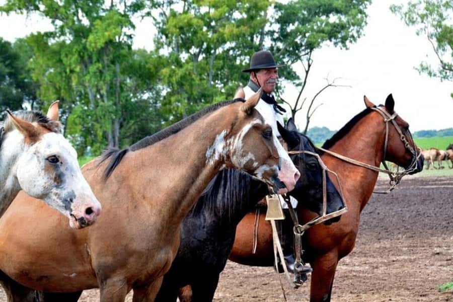 Full-Day at Santa Susana Ranch with BBQ, Drinks and Show - After-lunch gaucho action: la sortija, herding, and carrera de cuadreras