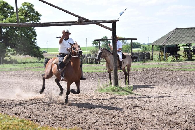 Gaucho Day Trip from Buenos Aires: Santa Susana Ranch - Quick hits if you want the good stuff fast