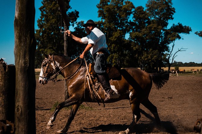 Gaucho Day Trip from Buenos Aires: Santa Susana Ranch - Pickup, pampas drive, and how the timing usually feels