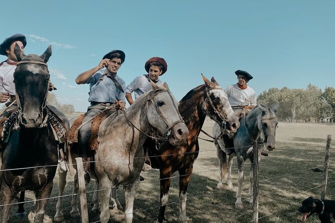 Gaucho Experience: A Day Trip to Don Silvano Ranch - Gaucho rhythm: milking, mate rituals, and learning by watching (and trying)