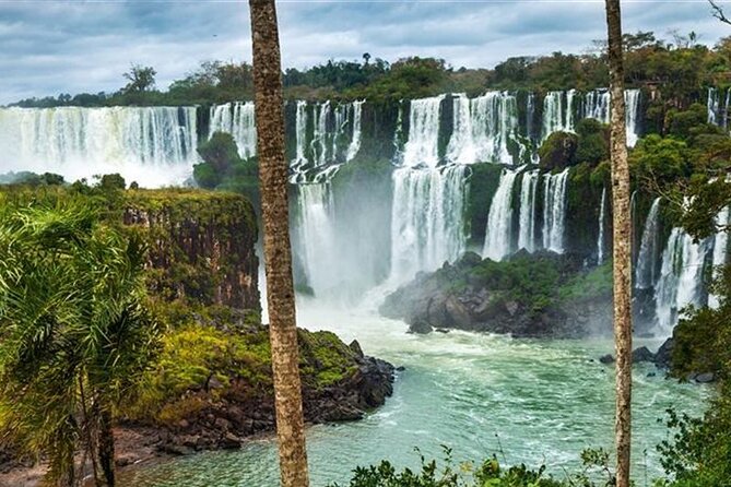 Iguazú Falls Private Full Day Tour - Wildlife spotting and guide names you can look for