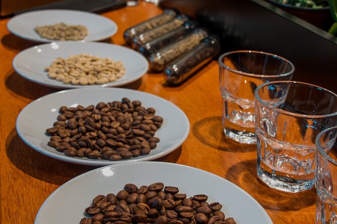 N1 Coffee Tasting Experience in Buenos Aires - Meet Lyubov and set your tasting mindset