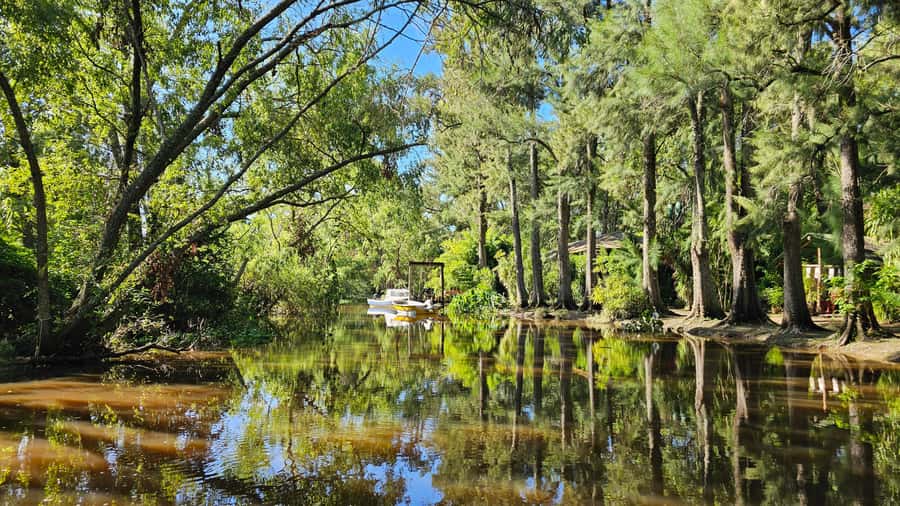 Navigation in Delta of Tigre - Exclusive semi private tour - Why a semi-private Tigre speedboat works so well