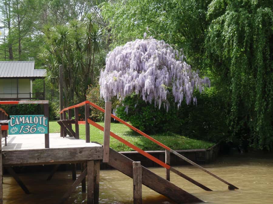 Navigation in Delta of Tigre - Exclusive semi private tour - Rain plans and satisfaction guarantees that reduce stress