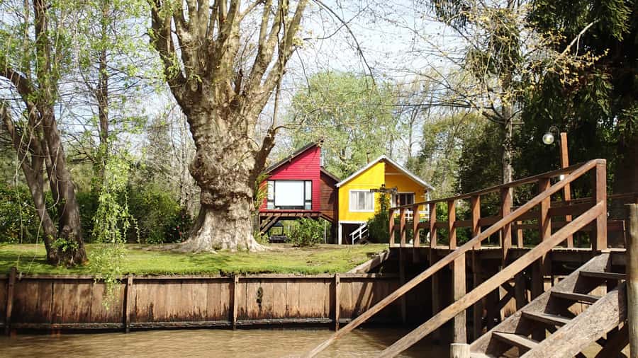 Navigation in Delta of Tigre - Exclusive semi private tour - What you’ll notice in the Delta: wildlife and plants up close