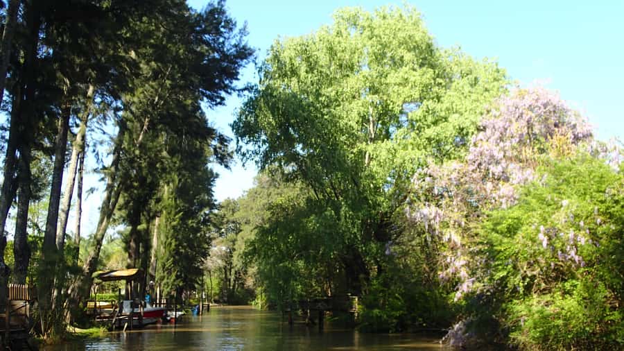 Navigation in Delta of Tigre - Exclusive semi private tour - Afternoon runs and summer swimming options