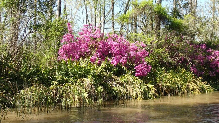 Navigation in Delta of Tigre - Exclusive semi private tour - Languages, guides, and the feel of a personal host
