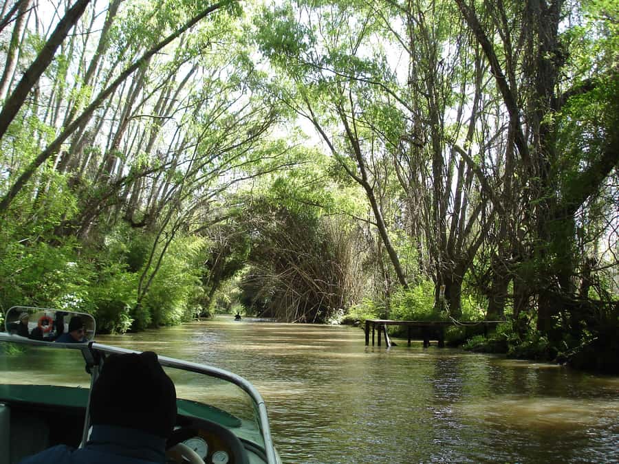 Navigation in Delta of Tigre - Exclusive semi private tour - The 2 hours on the water: wide rivers, canals, and skinny branches