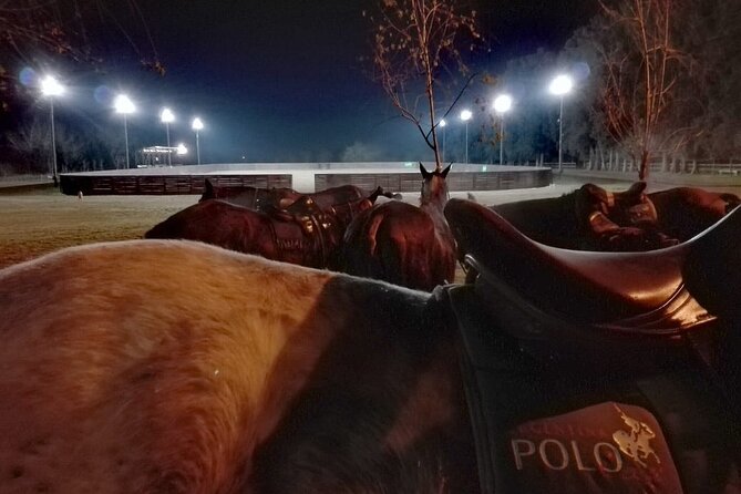 Polo Under the Stars and Argentine BBQ Evening Venue from Buenos Aires - Key points before you go