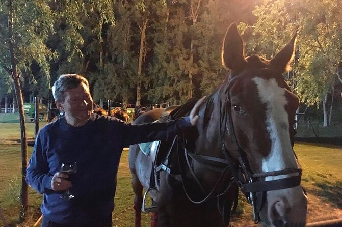 Polo Under the Stars and Argentine BBQ Evening Venue from Buenos Aires - Meet the Horses Up Close at the Pony Line