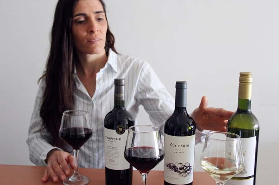 Premium Argentinian Wine and Malbec Tasting & Urban Art Tour - Palermo Soho’s Urban Art, and How to Read It Fast