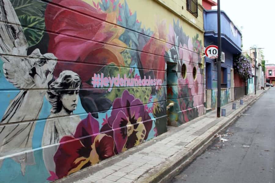 Premium Argentinian Wine and Malbec Tasting & Urban Art Tour - Practical Tips for Enjoying the Walk and Tasting