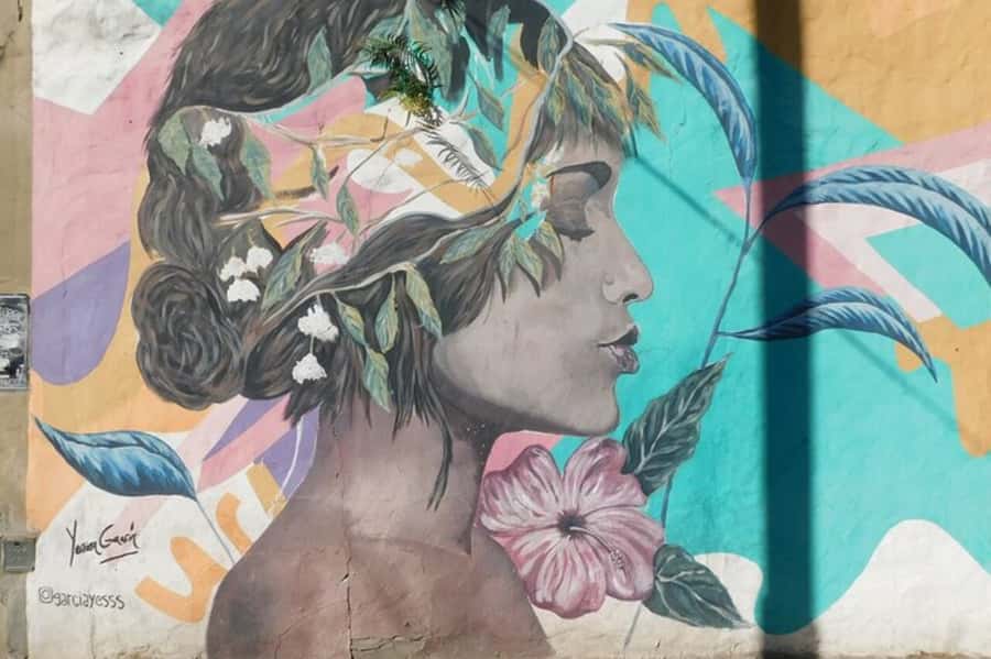 Premium Argentinian Wine and Malbec Tasting & Urban Art Tour - What You Taste: Malbec, Torrontes, Pinot Noir, and Cabernet Sauvignon