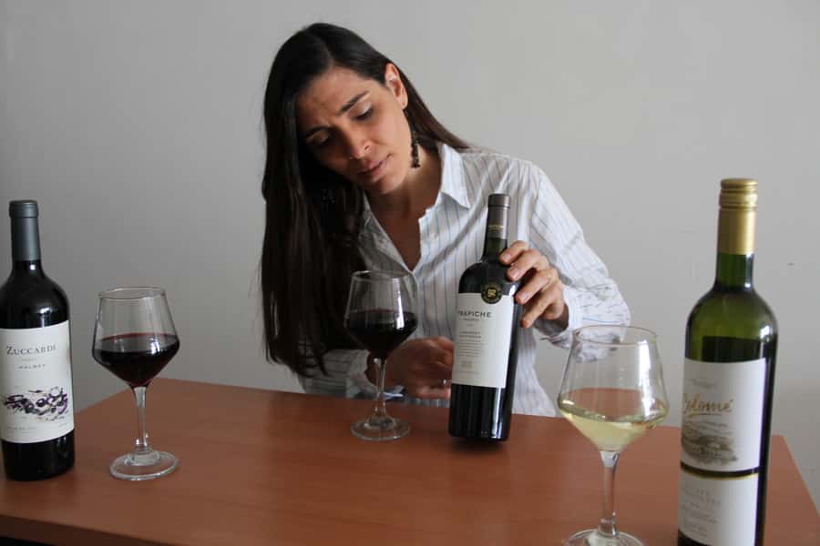 Premium Argentinian Wines and Malbec Tasting Experience - How the guide turns wine tasting into a real skill