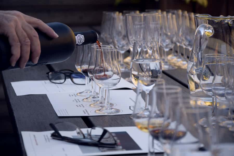 Premium Argentinian Wines and Malbec Tasting Experience - Rain plans, language support, and who will enjoy it most
