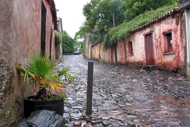 Premium Day Tour to Colonia del Sacramento - Lunch at Mesón de la Plaza: Set Meal, Real Satisfaction