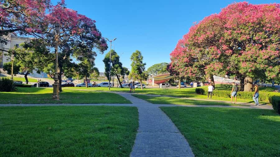 Recoleta Walking Tour and Live Jazz Show - Key points worth knowing before you go