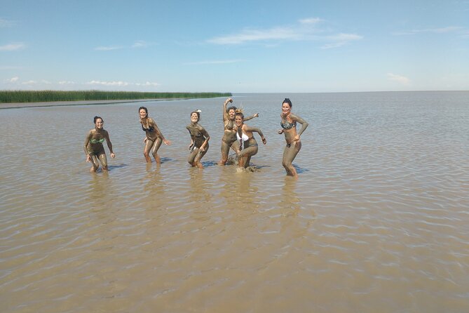 Safari náutico en tigre - Navigating the Rio de la Plata Route, Delta Tigre Streams and the Segunda Sección